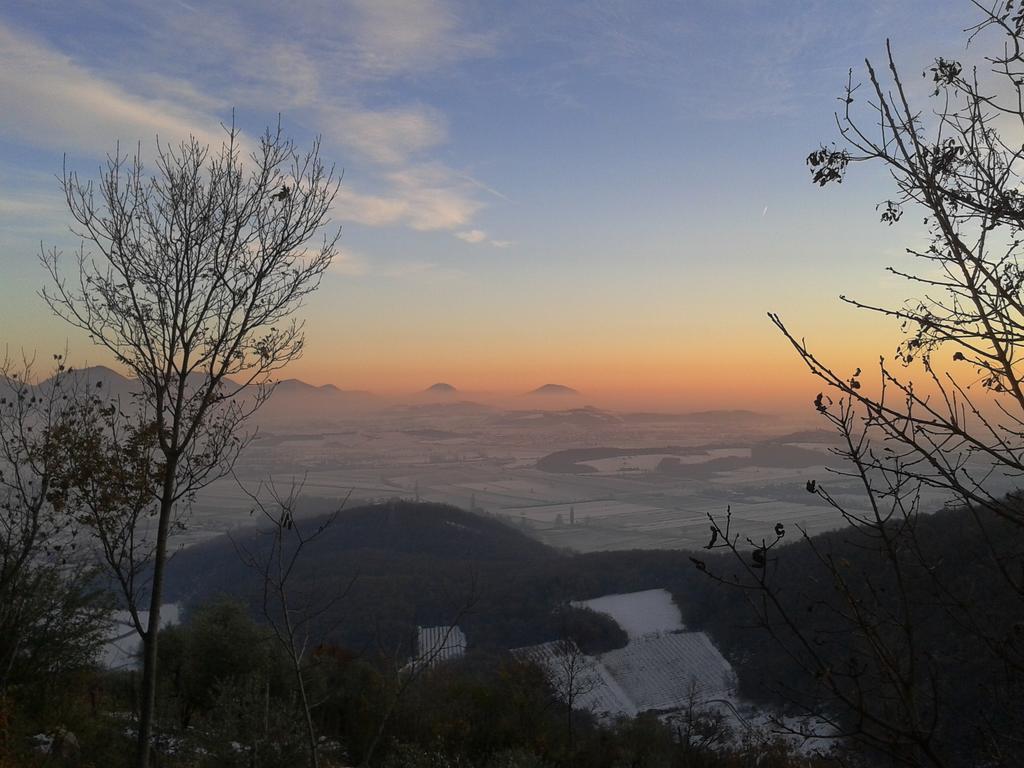 La Casetta Del Tiglio Bed & Breakfast Arcugnano ภายนอก รูปภาพ